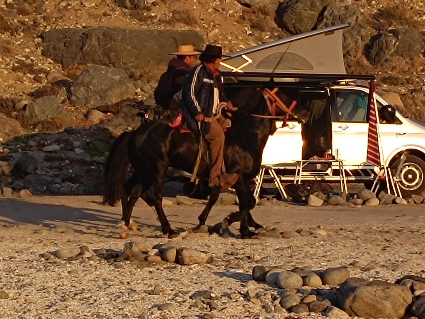 Chilean Caballero's