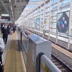 The bullet train looks slick when arriving