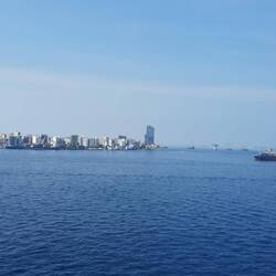 Le port