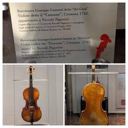 Paganini's favorite violin, "Cannone."