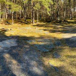 Hällristningar på Hästhallen; Felsen mit den Ritzungen...