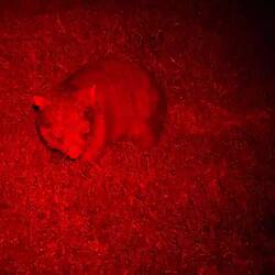 Es knabberte und knusperte direkt neben uns...😀