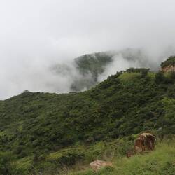 Dann wird es richtig neblig