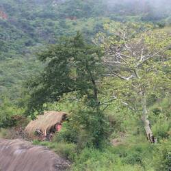 Auch hier leben einzelne Bergbewohner