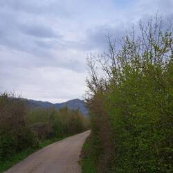 Bergsträssli