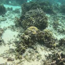 This is the actual speed of the current carrying us; not a sped-up video.