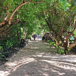 There were tons of beautiful walkways/paths on this little island.