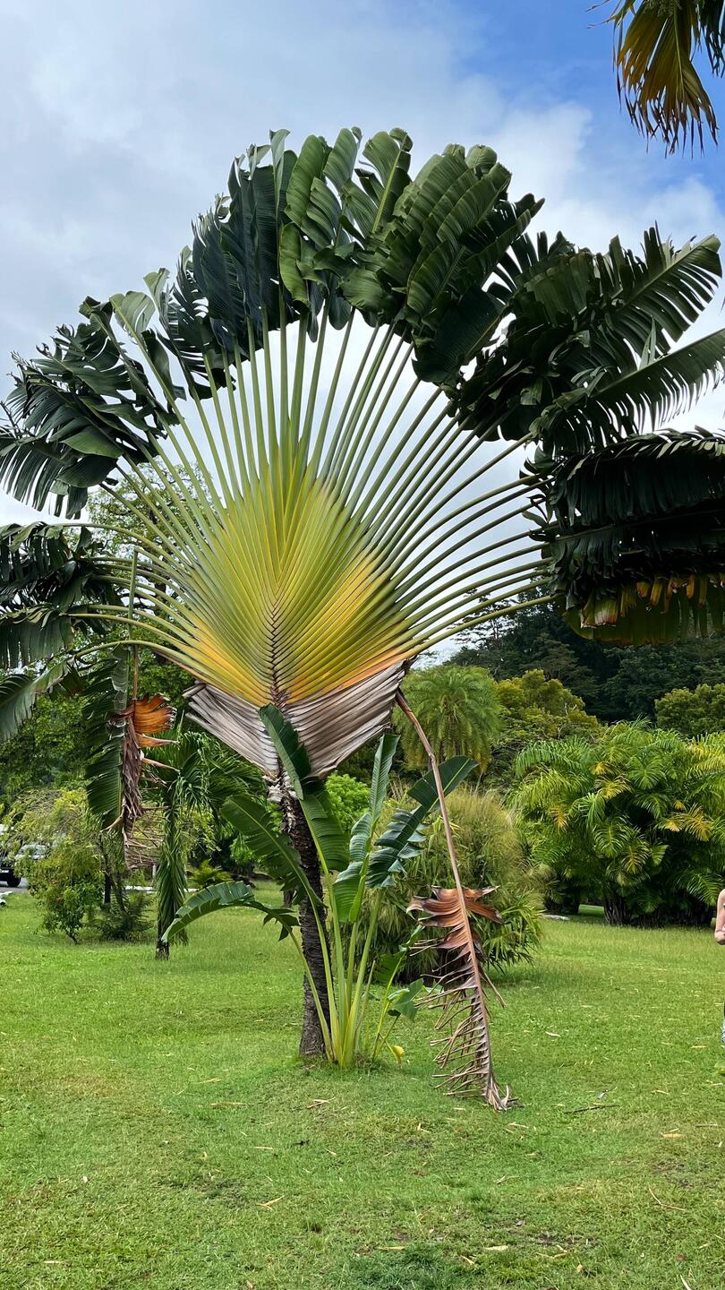 Botanischer Garten
