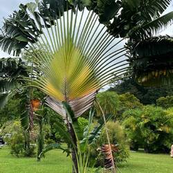 Botanischer Garten