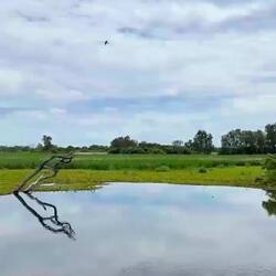 Picture perfect out here!