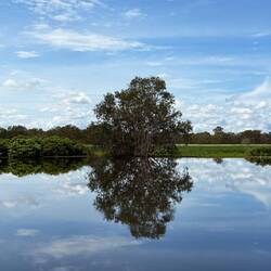 Look at that reflection!