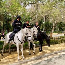 Die berittene Polizei macht Eindruck