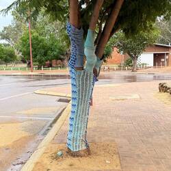 Blaue Bäume gegen psychische Krankheiten