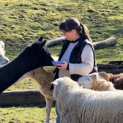 Zumindest füttern haben die sich lassen