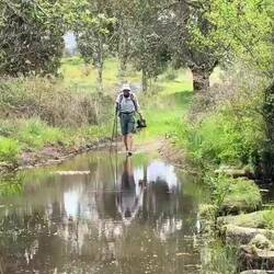 Fluss-Furten