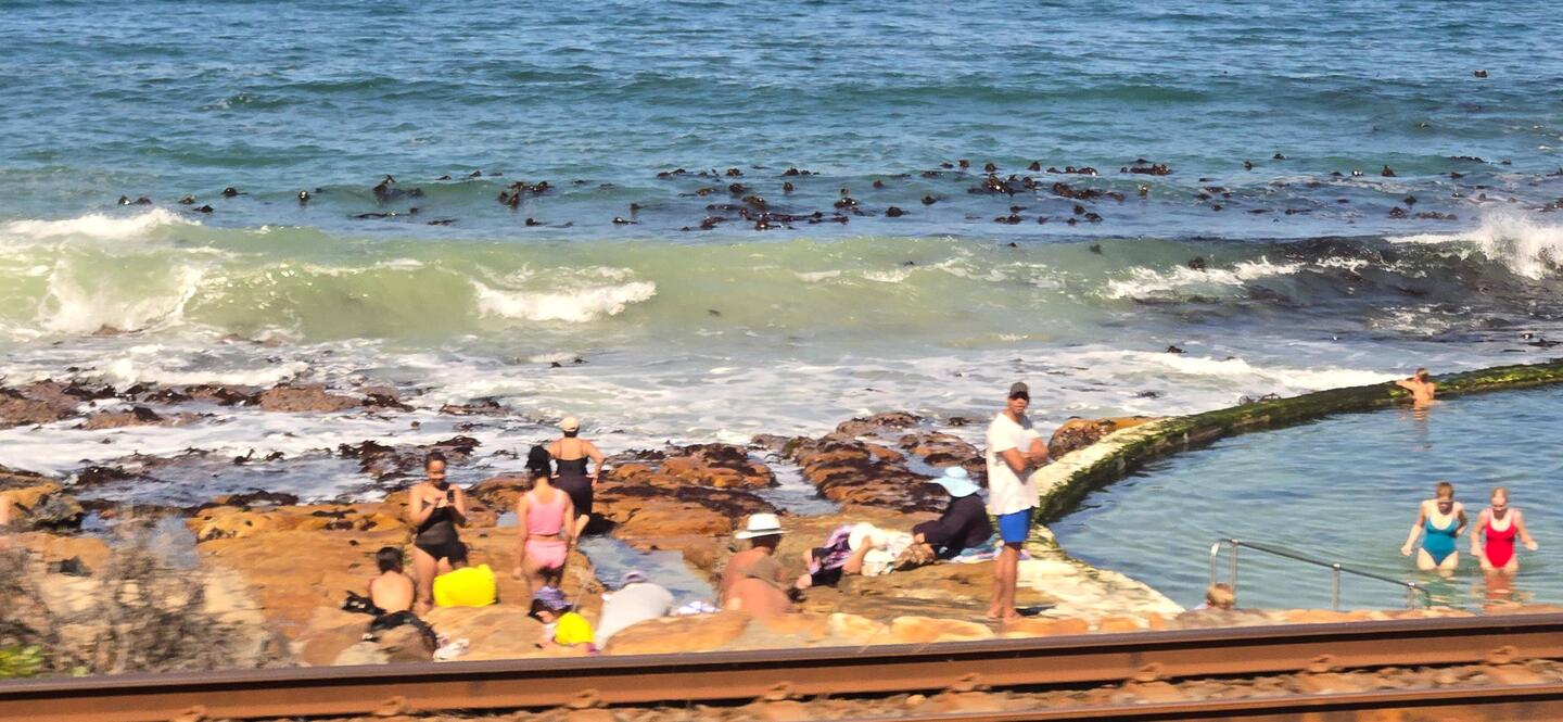 Tidal pools where they swim because the ocean is too cold to swim.