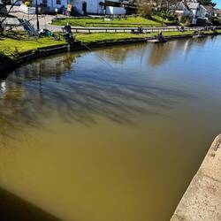 Fishing Canal style with 19m rods and burley cups for fish too small to eat !