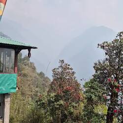 Wo sind die Bergeeee?