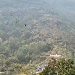 Und da drüben geht's wieder hoch