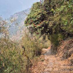 Und wieder absteigen - auch alles Treppen