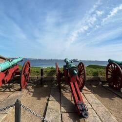 Cannoni verso la Svezia