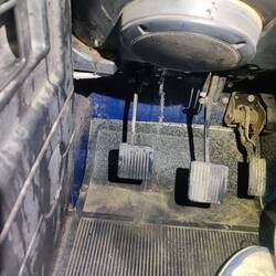 ...wird schnell mehr (läuft zum Glück unten aus der Tür wieder heraus)