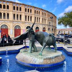 Der Torero trainiert schon für den nächsten Kampf