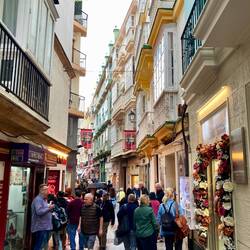 Da kommen sie, die Touristen