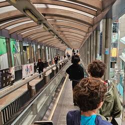 We were determined to ride the escalators, even if they were going the wrong way.
