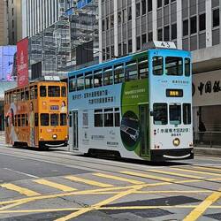 A couple of the city trams.