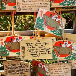 Alle ønsker gælder ✌🏼