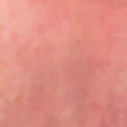 Speedboat, baby 😎😂