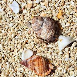 These guys were camera-shy.