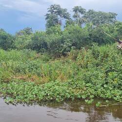 Jörg angelt ... 3 Fische!