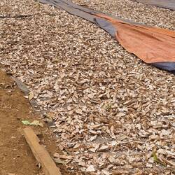 ...und hier wird Tapioka getrocknet