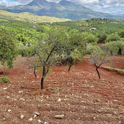 Startlingly red soil