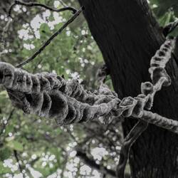 The illusion of being free is often a comfortable lie. You need skills to break these chains...