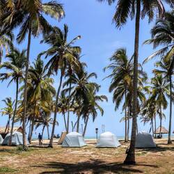 In the heart of the NP Tayrona: Hotel & Camping Castillete.