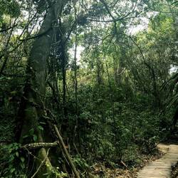 Numerous trails in the park, from excellently maintained (like this) to wild.