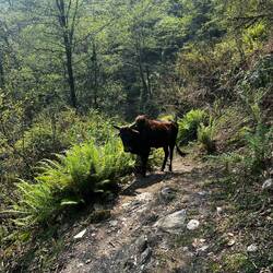 Auch heute haben wir wieder Freunde auf dem Weg