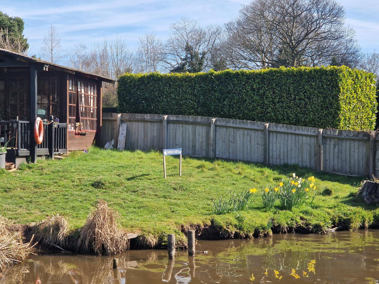A dedicated swan area in a back garden 🦢