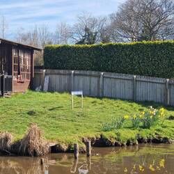 A dedicated swan area in a back garden 🦢