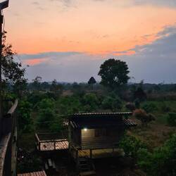 Auf der Happy shared Farm