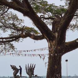 Instandhaltung von Drachenköpfen