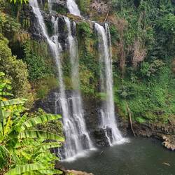 Der höchste Tad, den ich in Laos gesehen habe