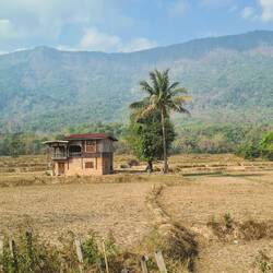 nochmal die laotische Landschaft mitnehmen