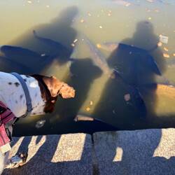 Snoopy vs carpe reali