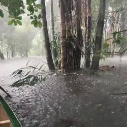 Terrific downpour 😱