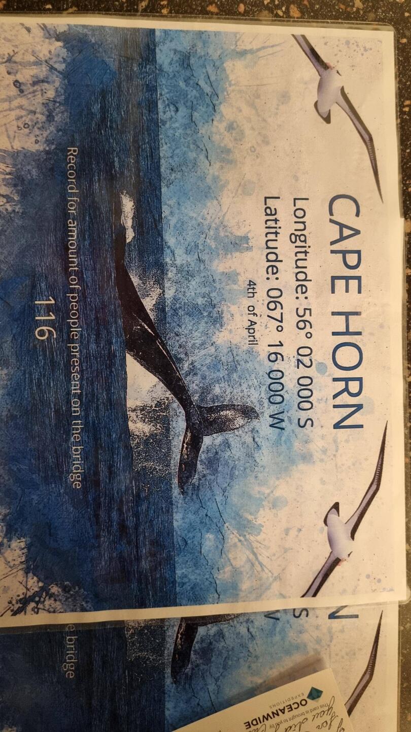 Fun certificate they made yesterday when the captain made everyone come up to the bridge.