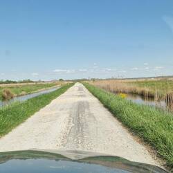 Da sind wir mit dem »Dicken« am Haken durch. 🫣